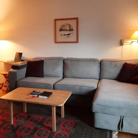 Moesli - Zimmerli By Interhome Lejlighed Zweisimmen